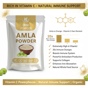 Polvo de Fruta Amla OEM, Rico en Vitamina C Antioxidante, Extracto Natural de Grosella, Suplemento de Alimento Integral Amalaki, Extracto de Amla en Polvo - Product Image 3