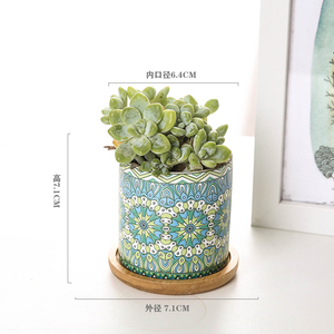 Pots à fleurs et plantes en porcelaine modernes, style coréen, ornements de <span class=keywords><strong>jardin</strong></span> pour la maison, transformant votre <span class=keywords><strong>espace</strong></span> végétal - Product Image 6