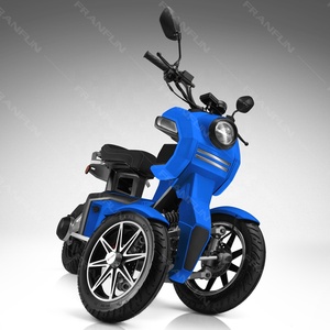Veicolo a Tre Ruote ad Alta Velocità 70KM/H, Motore 3000W, Due Ruote Anteriori, Motocicletta con 2 Batterie Grandi - Product Image 1