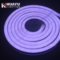 Bande LED néon haute performance 1020 RGBW, longueur personnalisable pour projets de décoration multifonctionnels et complexes d'expositions