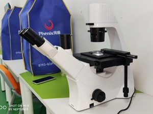Microscope biologique inversé Phenix PH-XDS5 économique, équipé d'un excellent système optique pour la recherche scientifique et les universités - Product Image 6
