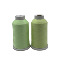 Fil photoluminescent brut 100% polyester FDY DTY pour applications textiles de sécurité en extérieur avec résistance au lavage à l'eau