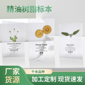 Essential oil <b>resin</b> specimens, transparent acrylic epoxy <b>resin</b> <b>crafts</b>, ornaments, and decorations. - Product Image 5