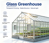 Serre tunnel monopente en film plastique, structure agricole hydroponique en polyéthylène avec cadre en acier galvanisé, faible coût