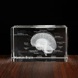 Cristallo originale Laser 3D cervello esemplari cubo di vetro interpretazione medica modello ospedale Souvenir regalo - Product Image 1