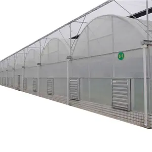 Agriculture Multi-Span Arch Plastic Film Greenhouse Strawberry Greenhouse Turnkey Project