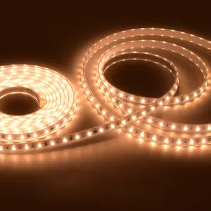 Cordas de luz LED de alta tensão LED Strip AC230V IP65 DIY Natal flexível corda luzes 50 100 metros Outdoor LED Rope Light