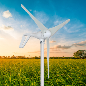 Pequeña turbina eólica doméstica, turbina eólica, solución de sistema fuera de <span class=keywords><strong>la</strong></span> red, consulta de entrada, <span class=keywords><strong>respuesta</strong></span> experta - Product Image 3