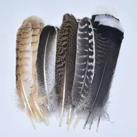 Lot de 10 Plumes d'Aigle Naturelles Véritables, Plumes Brutes pour Décoration, Artisanat de Faon, Accessoires de Carnaval, Plumes pour Broderie et Décoration