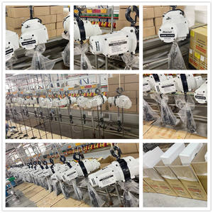 Mini polipasto de cadena eléctrico portátil de 110 voltios de alta calidad, capacidad de 250kg para hoteles y aplicaciones de servicio ligero - Product Image 5