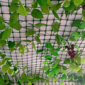 Filet de clôture en <span class=keywords><strong>plastique</strong></span> vert <span class=keywords><strong>pour</strong></span> protéger la volaille, les poulets, les canards, le jardin potager, le verger, l'étang à poissons et les grilles - Product Image 6