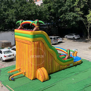 Inflatable Commercial Dolphin  Water Slide with Pool  Double Lanes Outdoor Inflatable Toys - Product Image 6