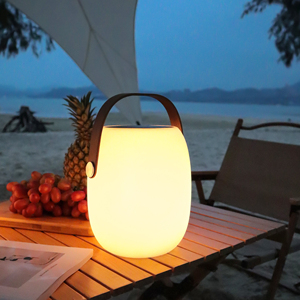 Glowing Portable LED Speaker Lantern for