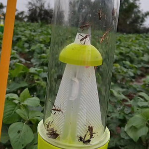 Trappola a Razzo per il Controllo dei Parassiti Riptortus Linearis, Efficace nel Gestire gli Insetti Nocivi, Cattura Maschi e Femmine - Product Image 5