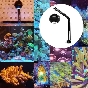 الصينية عالية الجودة wifi تحكم تانك الأسماك البحرية الشعاب المرجانية مصباح نافورة كرية