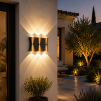 Lampe murale extérieure en aluminium OEM personnalisée, étanche IP65, 4W 6W 8W 10W 12W, pour jardin, parc, paysage, éclairage décoratif