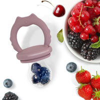 Food Grade Zachte Baby Siliconen Leuke Fopspeen Fopspeen Feeder Baby Melk Fruit Feeder Tepel Met Tanden