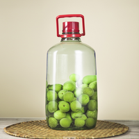 Bouteilles de fermentation de vin en verre épaissi de qualité alimentaire, 5L et 10L, personnalisables avec gravure et décalcomanie, couleur sur mesure, pour usage domestique – Meilleures ventes
