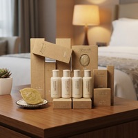 Fournitures hôtelières jetables de luxe écologiques Ensembles de savon et de shampoing portables