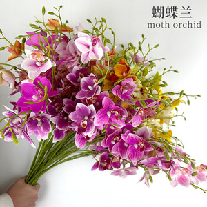 Fausses fleurs artificielles Phalaenopsis Ornements d'intérieur à la maison Mariage Décoration de Pâques Arrangement de fleurs <span class=keywords><strong>en</strong></span> <span class=keywords><strong>pot</strong></span> <span class=keywords><strong>en</strong></span> plastique - Product Image 2