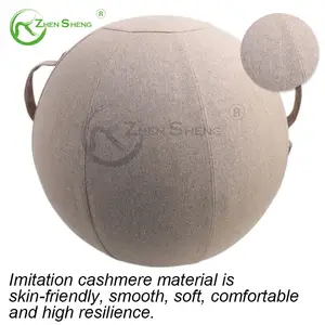 Zhensheng Hot Verkoper Balance Ball Stoel Stabiliteit Yoga Oefening Bal Cover