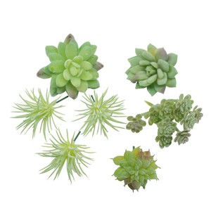 Plantas Suculentas Artificiales de Imitación para Manualidades, Accesorios para Macetas, Decoraciones Florales Artificiales de 10 cm o Menos, Tipo Trompeta DRO - Product Image 5