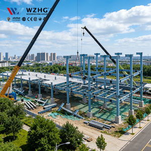 Semi-Automated Steel Car Park Hybrid Parking Structure for Phased Automation Upgrade Mechanical System Compatible Future-proo - Product Image 1