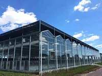 Mini serre en verre trempé avec hydroponie pour l'agriculture