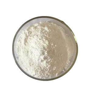 High Quality Natamycine Food Bread Preservatives Natamycin