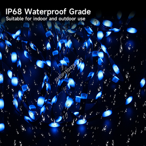 Dc12v 1000LED 1.5cm Pitch sk6812 <span class=keywords><strong>ws2811</strong></span> LED Pebble <span class=keywords><strong>pixel</strong></span> chuỗi ánh sáng RGB địa chỉ đầy đủ màu sắc IP68 - Product Image 4