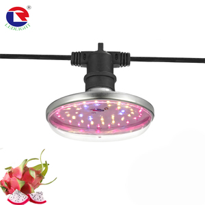 Impermeable E27 <span class=keywords><strong>LED</strong></span> Grow Light String UFO <span class=keywords><strong>Bombilla</strong></span> Exterior Crecimiento de <span class=keywords><strong>plantas</strong></span> Espectro Luz de inundación para el cultivo de frutas y <span class=keywords><strong>plantas</strong></span> - Product Image 1