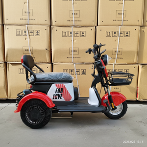 Tricycle électrique à une vitesse, 48V 600W, à double rangée de sièges, ouvert, pour le transport de marchandises, personnalisation du logo en gros d'usine - Product Image 1