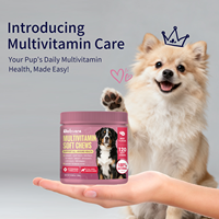 Compléments alimentaires pour animaux de compagnie de qualité supérieure, comprimés à mâcher, gouttes liquides, absorption rapide, sans danger pour les chiens, soins de santé quotidiens, flacons en vrac