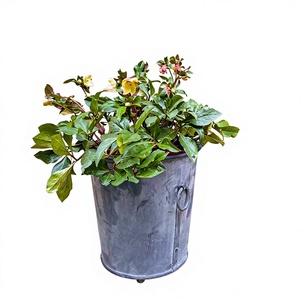 Jardinières rustiques en métal rondes pour l'extérieur, ensemble de deux pots gris, les meilleures jardinières en métal blanchies à la main, grandes jardinières en métal - Product Image 3