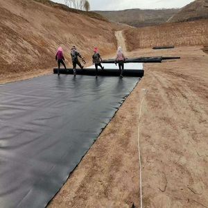 Géomembrane HDPE résistante au vieillissement, film plastique imperméable noir et bleu pour revêtement de bassin à poissons, barrage, décharge, piscine, toiture de bâtiment - Product Image 4
