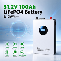 Batterie LiFePO4 51,2 V 100 Ah 5,12 kWh murale pour stockage d'énergie domestique avec BMS, WiFi, Bluetooth et sauvegarde solaire