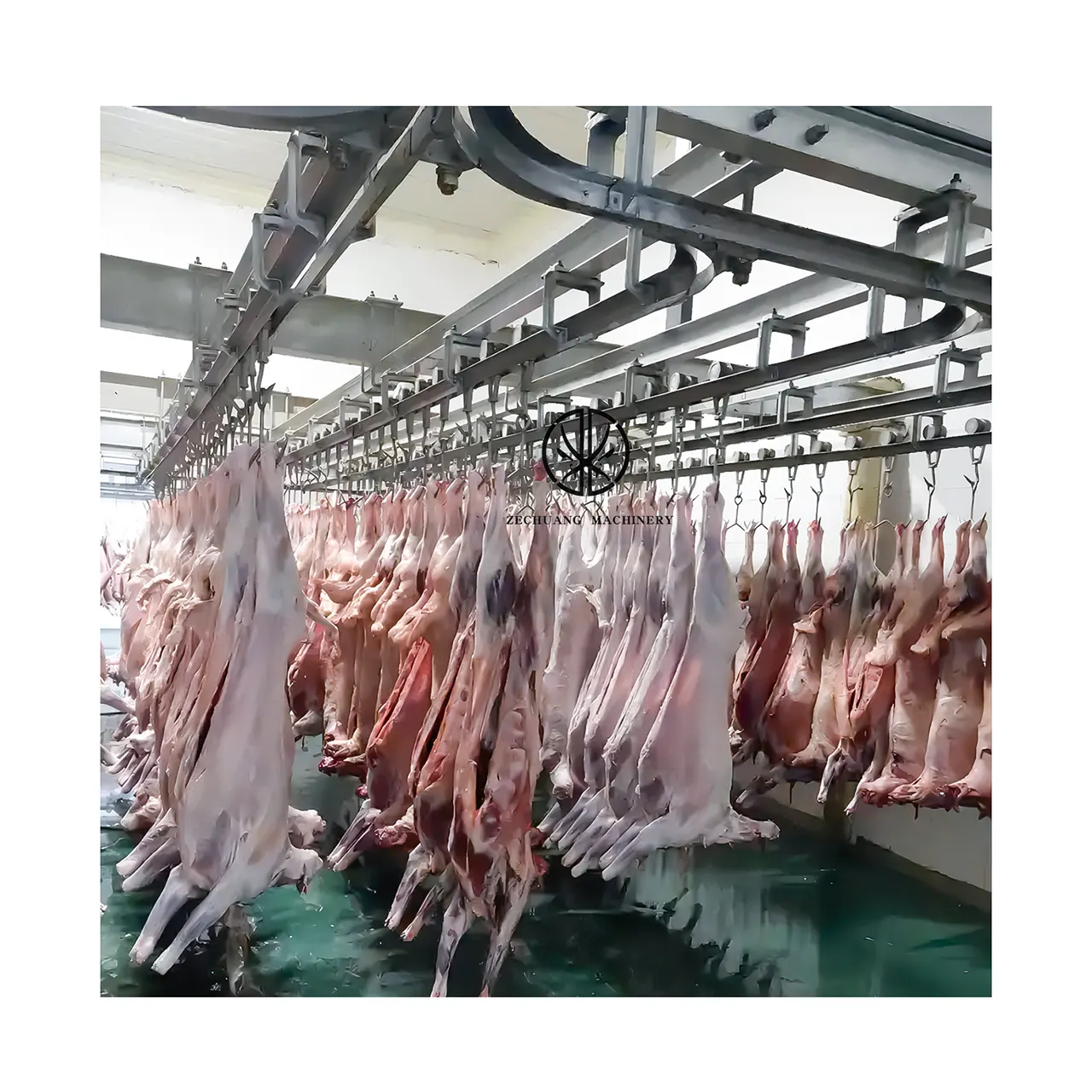 Kambing perlengkapan jagal garis daging domba pemrosesan Conveyor internasional Halal Muslim pengolahan makanan domba