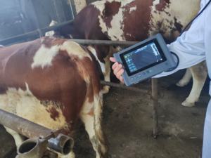 Veterinário Máquina De Ultrassom Portátil Veterinária Handheld Scanner BUltra Sound Gravidez Medida Backfat Ecografo Vet Portatil - Product Image 2