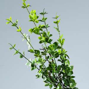 Feuille de Bambou Simulée Fougère Mur Plante Fleur Plastique Verte <span class=keywords><strong>Romarin</strong></span> avec Parfum Vanille Colle Douce Artificielle Verdure de Noël - Product Image 5