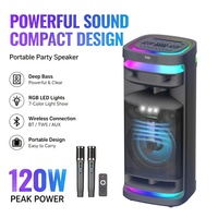 CSN-10611 Tragbarer Lautsprecher mit EQ-Steuerung, RGB-Beleuchtung, Tiefbass, Kabelloser Karaoke-Lautsprecher, Unterstützt TWS, USB, AUX, TF-Karte
