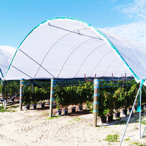 <span class=keywords><strong>Invernadero</strong></span> de túnel alto tipo oruga de bajo costo, solución económica perfecta para el cultivo de bayas pequeñas y medianas - Product Image 3