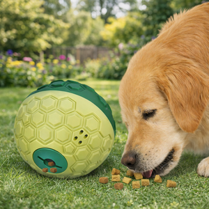 Jouet à bille roulante <span class=keywords><strong>pour</strong></span> <span class=keywords><strong>chien</strong></span> avec des trous <span class=keywords><strong>de</strong></span> distribution <span class=keywords><strong>de</strong></span> friandises physiques et une structure sonore interne <span class=keywords><strong>pour</strong></span> l'alimentation et le jeu en intérieur OEM - Product Image 1