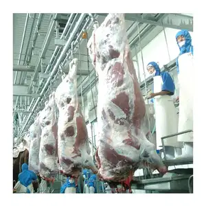 Linha de abate de cabras e boi Halal, preço de fábrica, equipamento para abate de gado, ovelhas e gado