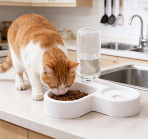 Küçük Otomatik Evcil Hayvan Besleyici ve Su Sebili Bir Arada Nem Geçirmez Kediler ve Köpekler İçin İç/Dış Mekan Kullanımı - Product Image 2