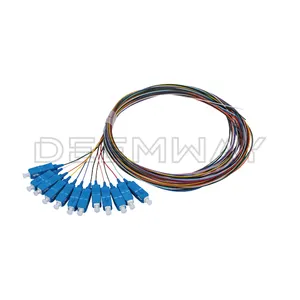 SC UPC 0.9mm fibra ottica Pigtail SC 12 Core cavo di maiale