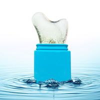 Moule à glace réutilisable en silicone écologique pour usage extérieur, rouleau de massage pour le visage et les yeux, outil de raclage, cube de massage liftant pour le visage