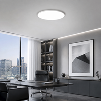 Plafonnier à montage en surface pour projets d'appartements, achat groupé pour grands développeurs immobiliers, usage général intérieur