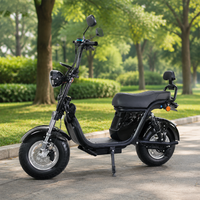 Moto électrique efficace avec une autonomie de 60 km, 3 vitesses, port USB pour les trajets quotidiens en ville
