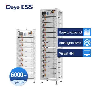 Deye ESS 2024新製品BOS-G 100Ah住宅用バッテリーエネルギー貯蔵太陽光発電システムボックス