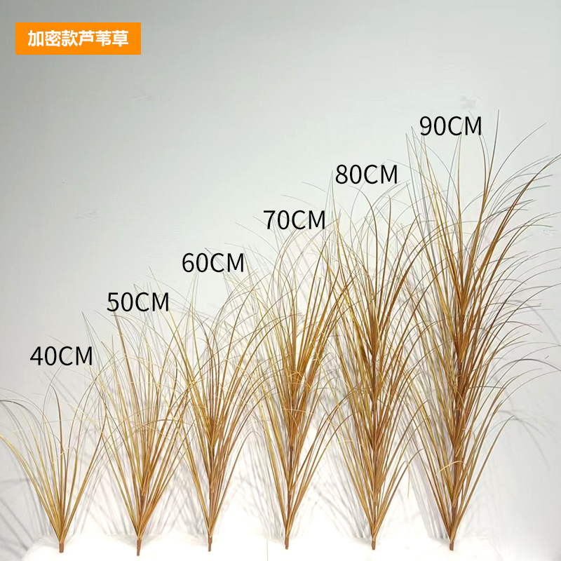 Hierba de caña cifrada